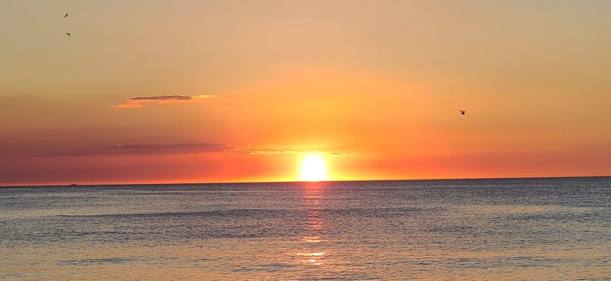  I am a Brazilian Jiu Jitsu Black Belt , a 500h RYS Yoga Teacher and a Mat Pilates Teacher.  Here I will tell you why I think these 3 belong together.