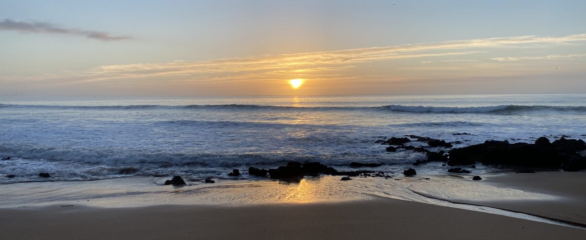  I am a Brazilian Jiu Jitsu Black Belt , a 500h RYS Yoga Teacher and a Mat Pilates Teacher.  Here I will tell you why I think these 3 belong together.