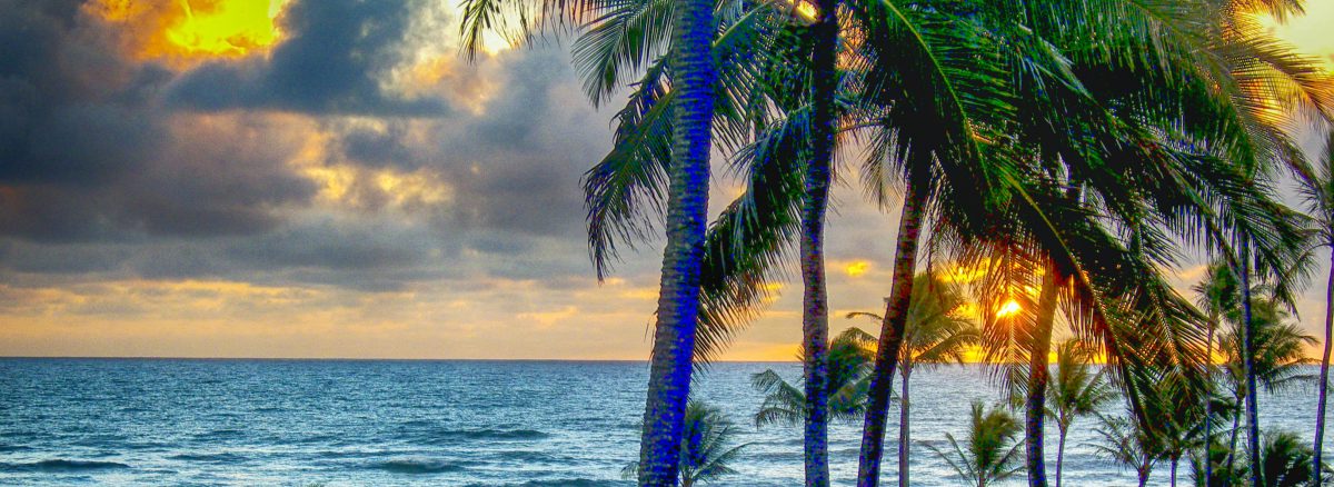  I am a Brazilian Jiu Jitsu Black Belt , a 500h RYS Yoga Teacher and a Mat Pilates Teacher.  Here I will tell you why I think these 3 belong together.