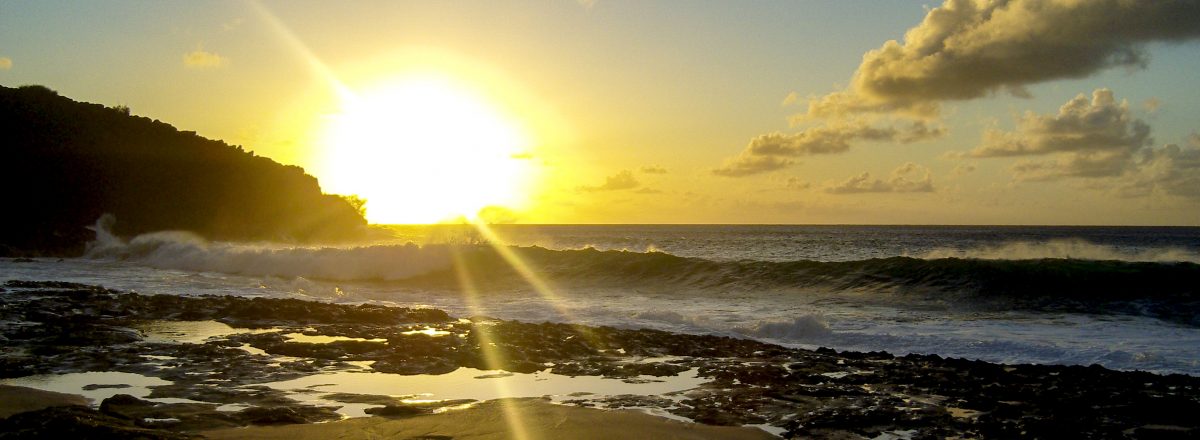  I am a Brazilian Jiu Jitsu Black Belt , a 500h RYS Yoga Teacher and a Mat Pilates Teacher.  Here I will tell you why I think these 3 belong together.